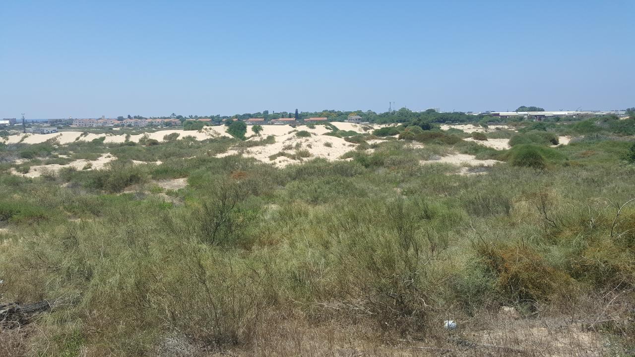 Neot Golf Caesarea Garden Apartment Buitenkant foto